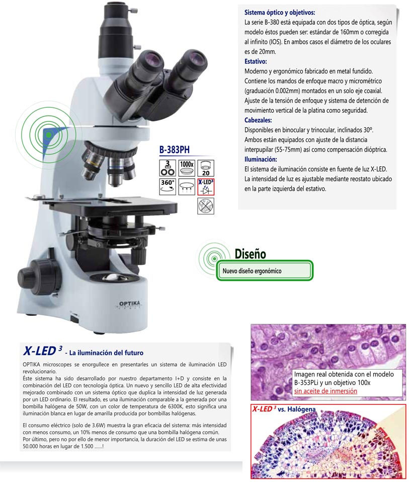 microscopia de contraste de fases microscopia de contraste de fases